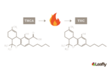 Article_3_Figure_1THCA_THC_decarb.png
