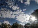 IMG_20211111_140905.jpg