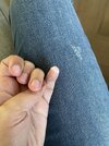 IMG_2728.jpeg