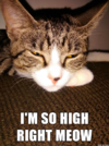 82HRMCX.png