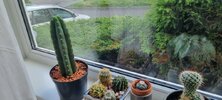 20260609_112629.jpg