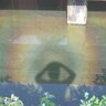 MahaRainbowStarseedAvatar